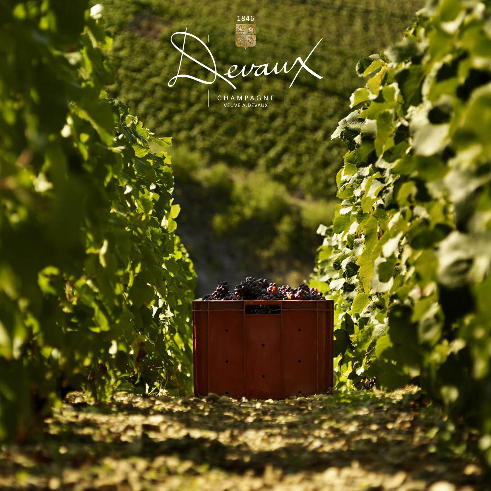 Champagner Grande Réserve Brut