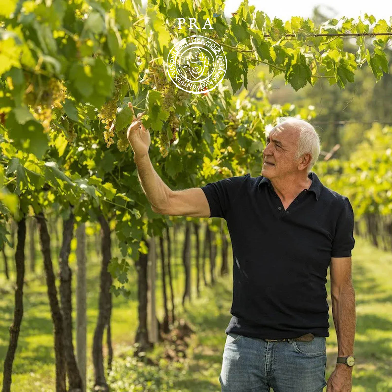 Valpolicella Ripasso Superiore 2021 Morandina
