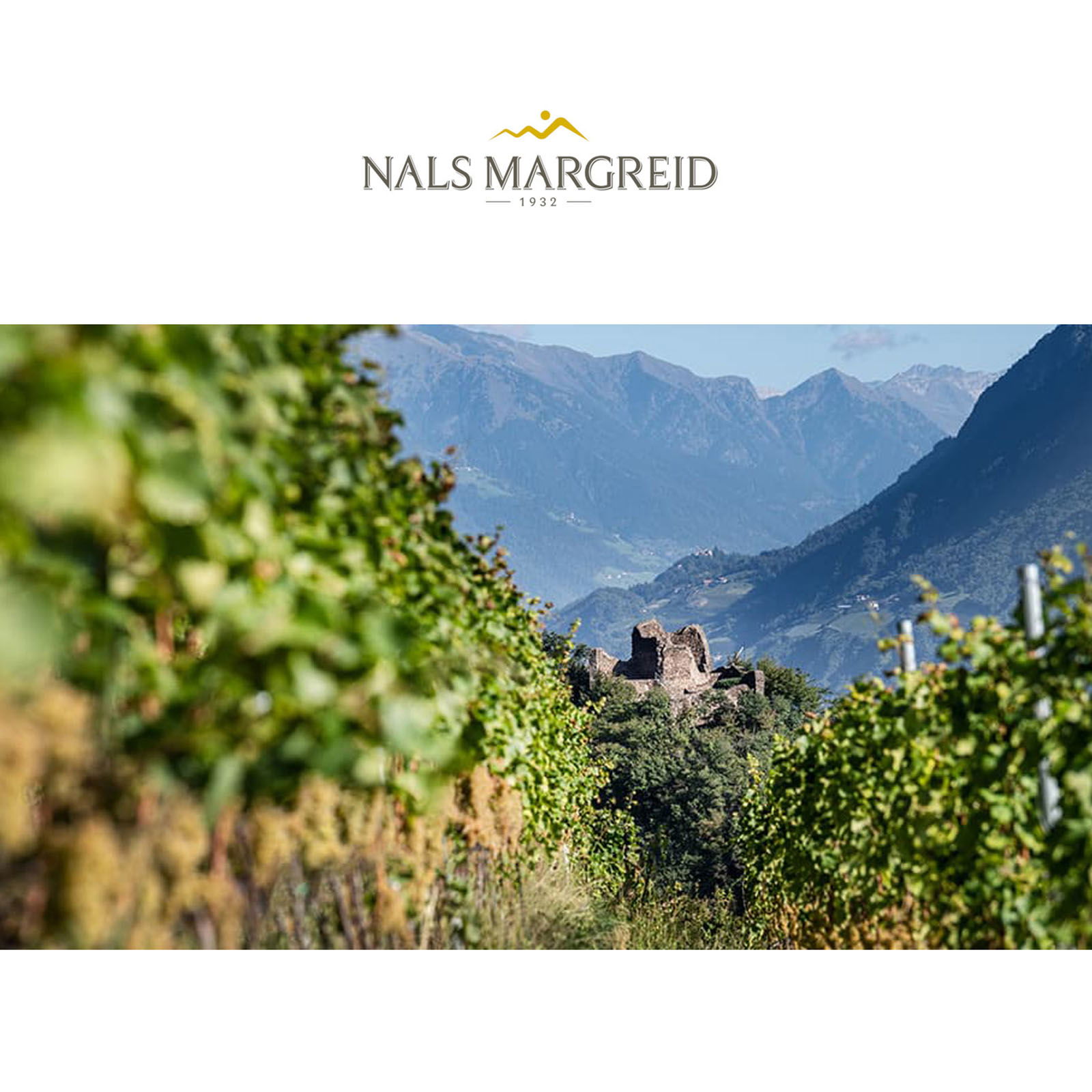 Sauvignon Blanc 2024 Gennen