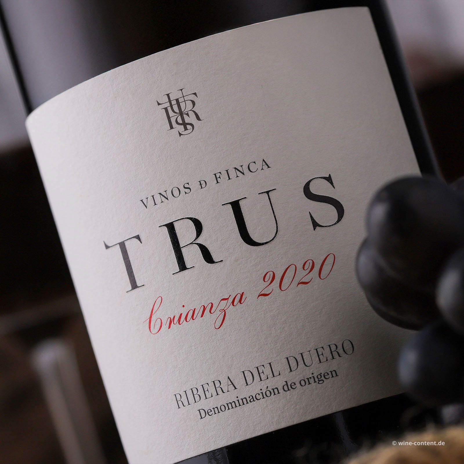 Tempranillo Crianza 2020 Trus