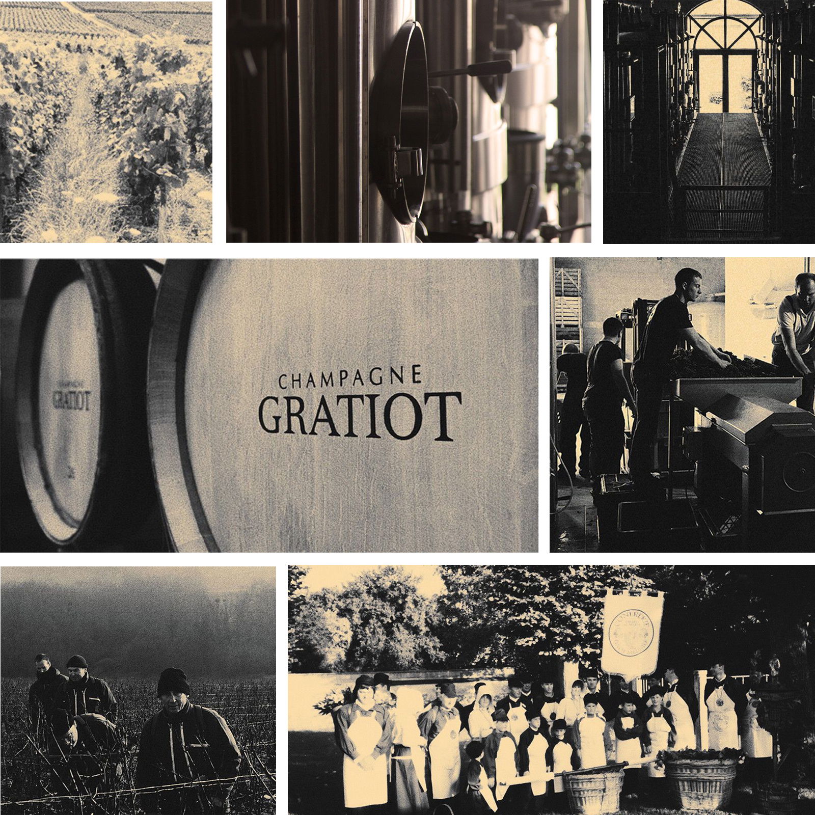 Champagner Désiré Rosé Saignée 2018 Extra Brut