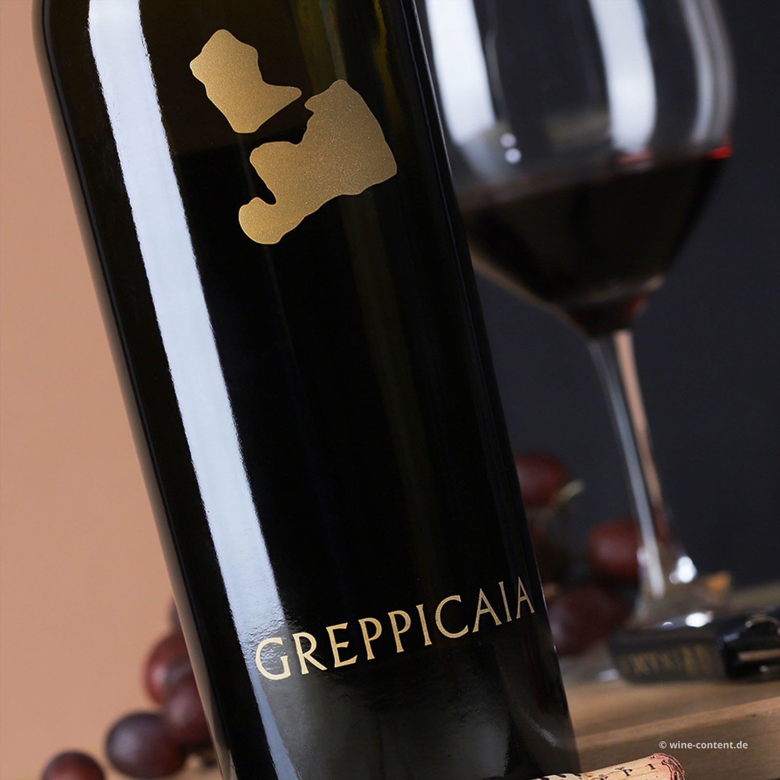 Bolgheri Rosso Superiore 2021 Greppicaia