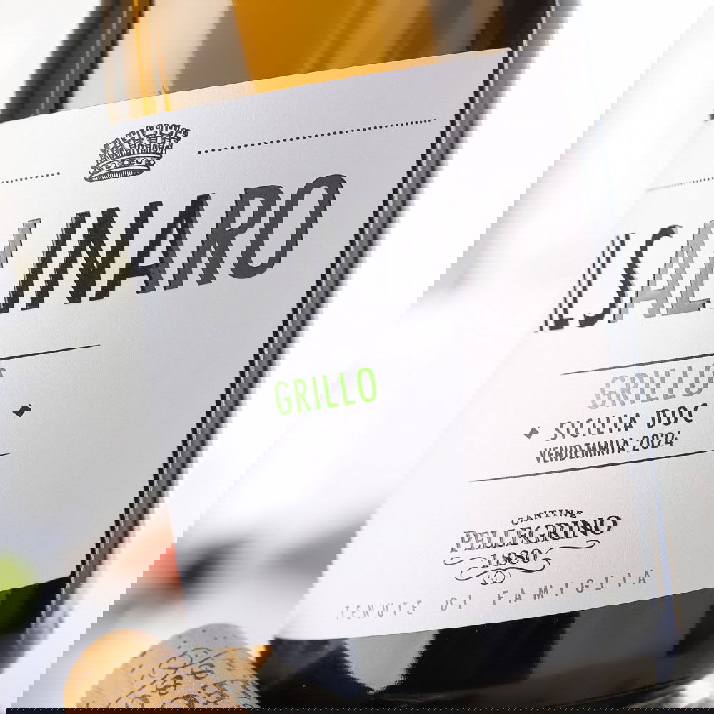 Grillo Sicilia 2024 Il Salinaro