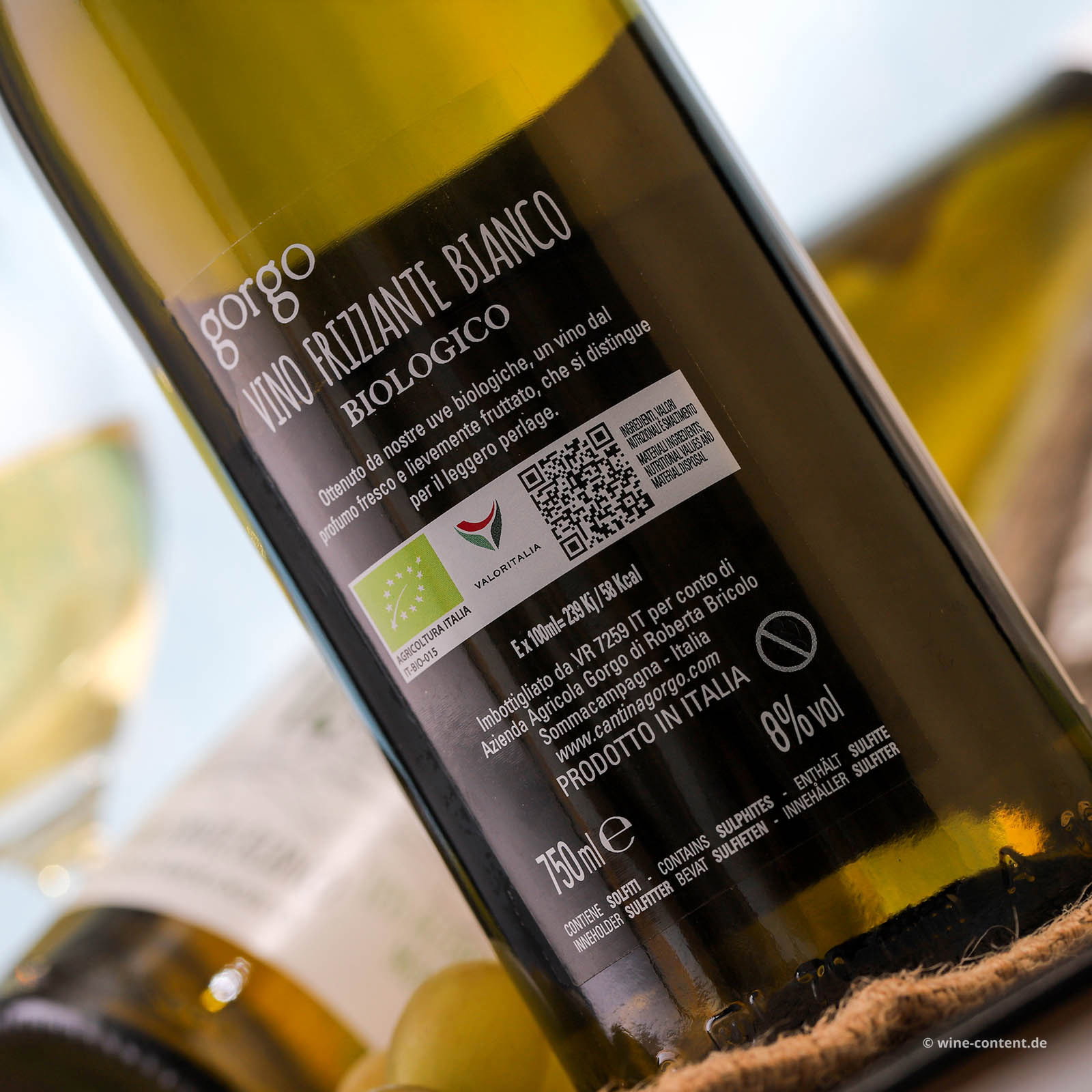 Frizzante Bianco IL 100 Bio 8%