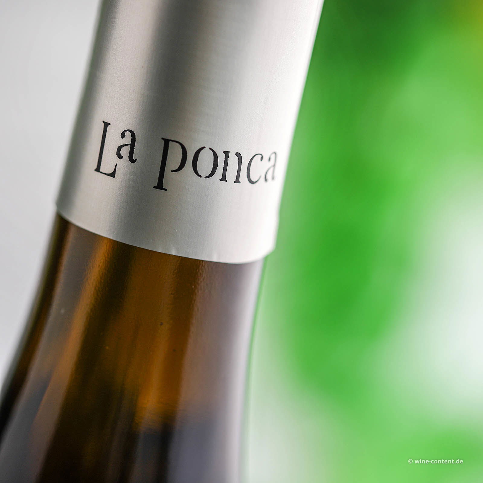 Chardonnay Collio 2022 Bio