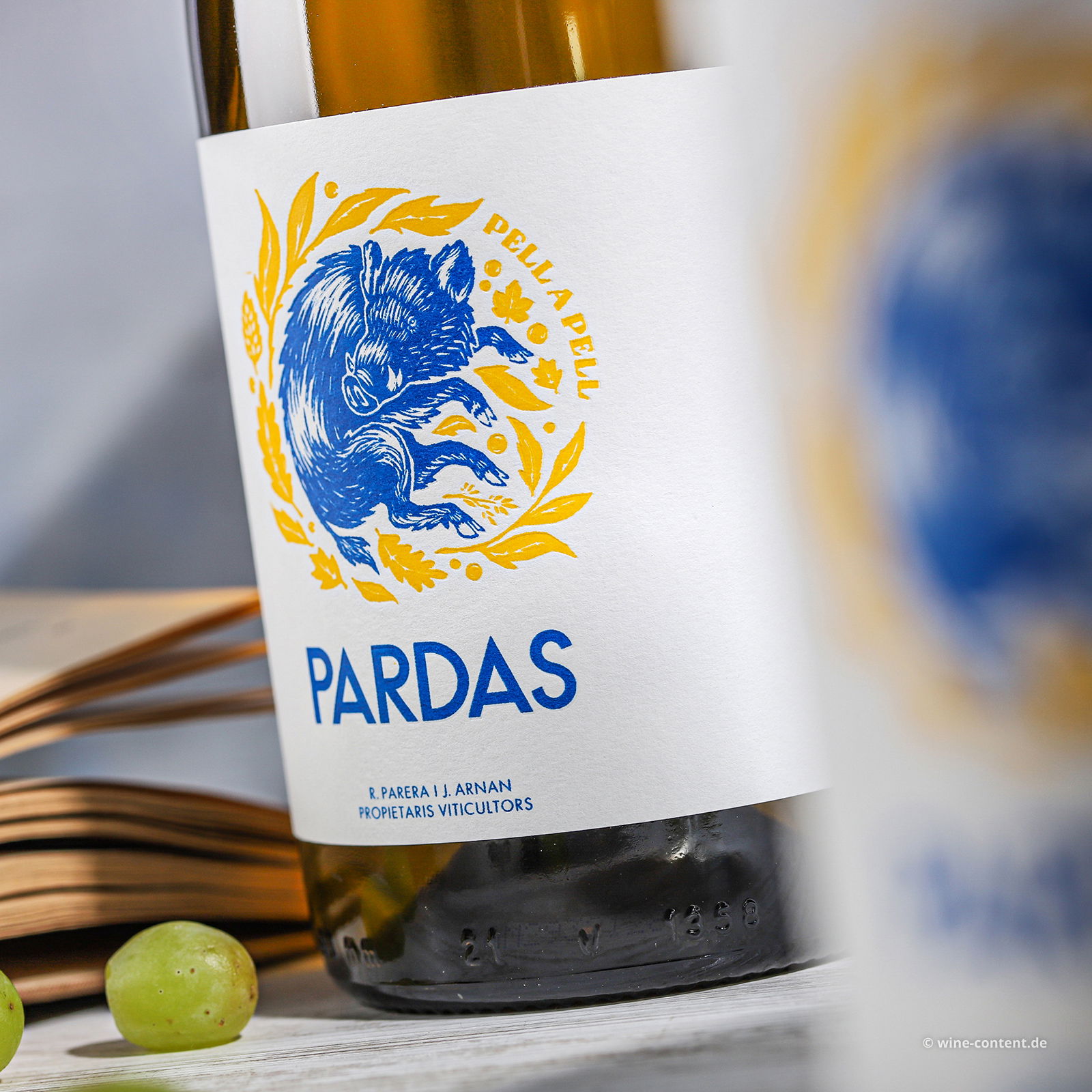 Pell a Pell 2022 Bio