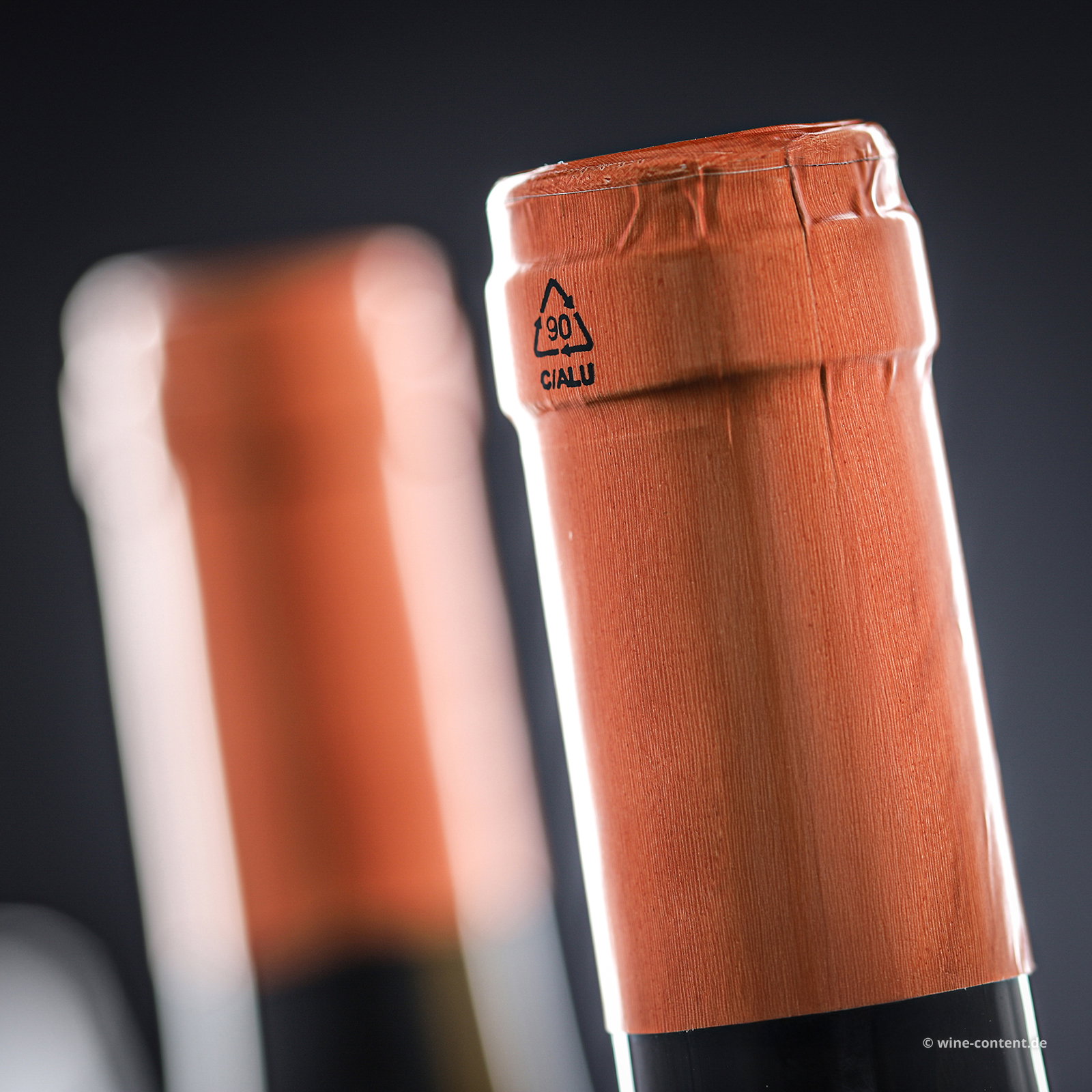 Pinot Grigio 2024 Sot Lis Rivis