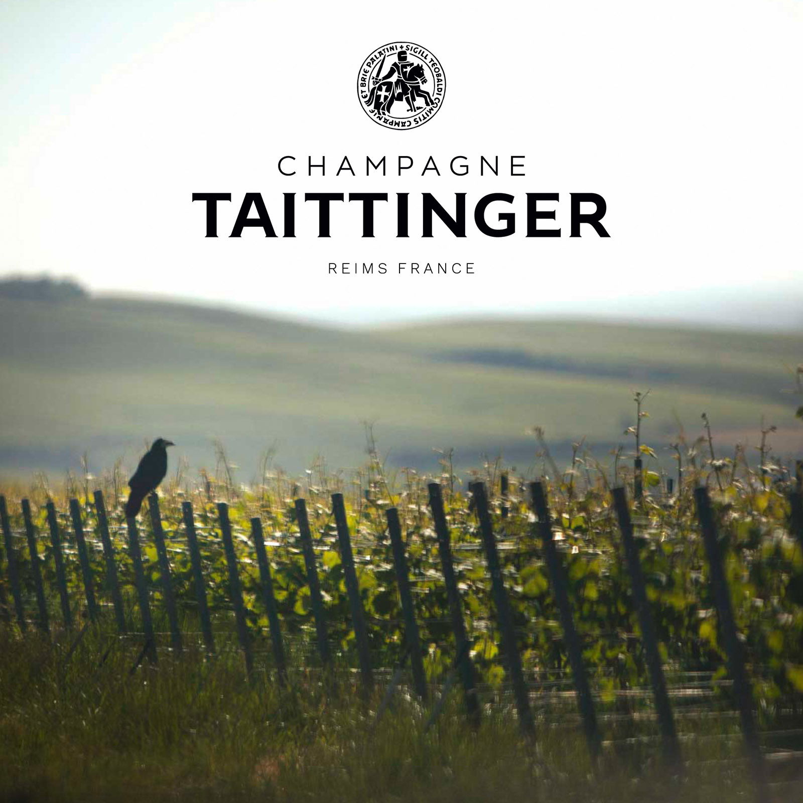 3er-Paket Champagner 2013 Comtes de Champagne Brut