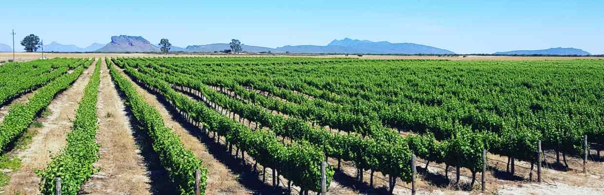 Gedeelte Wines