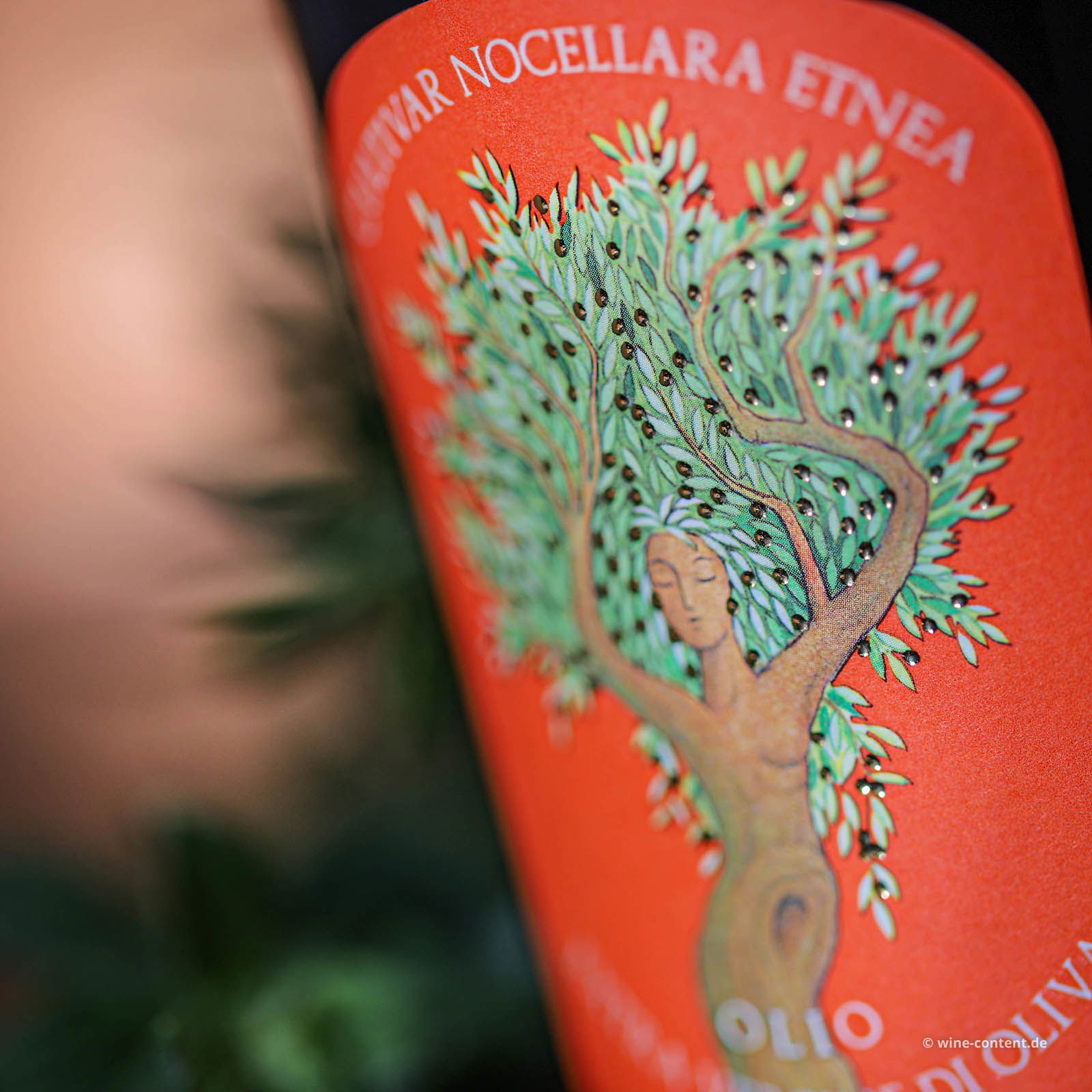 0,5 L Olivenöl Extra Vergine 2025 Nocellara