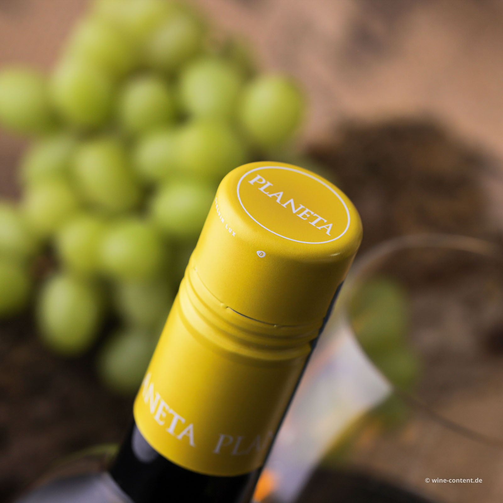 Grillo Sicilia 2025 La Segreta Bio