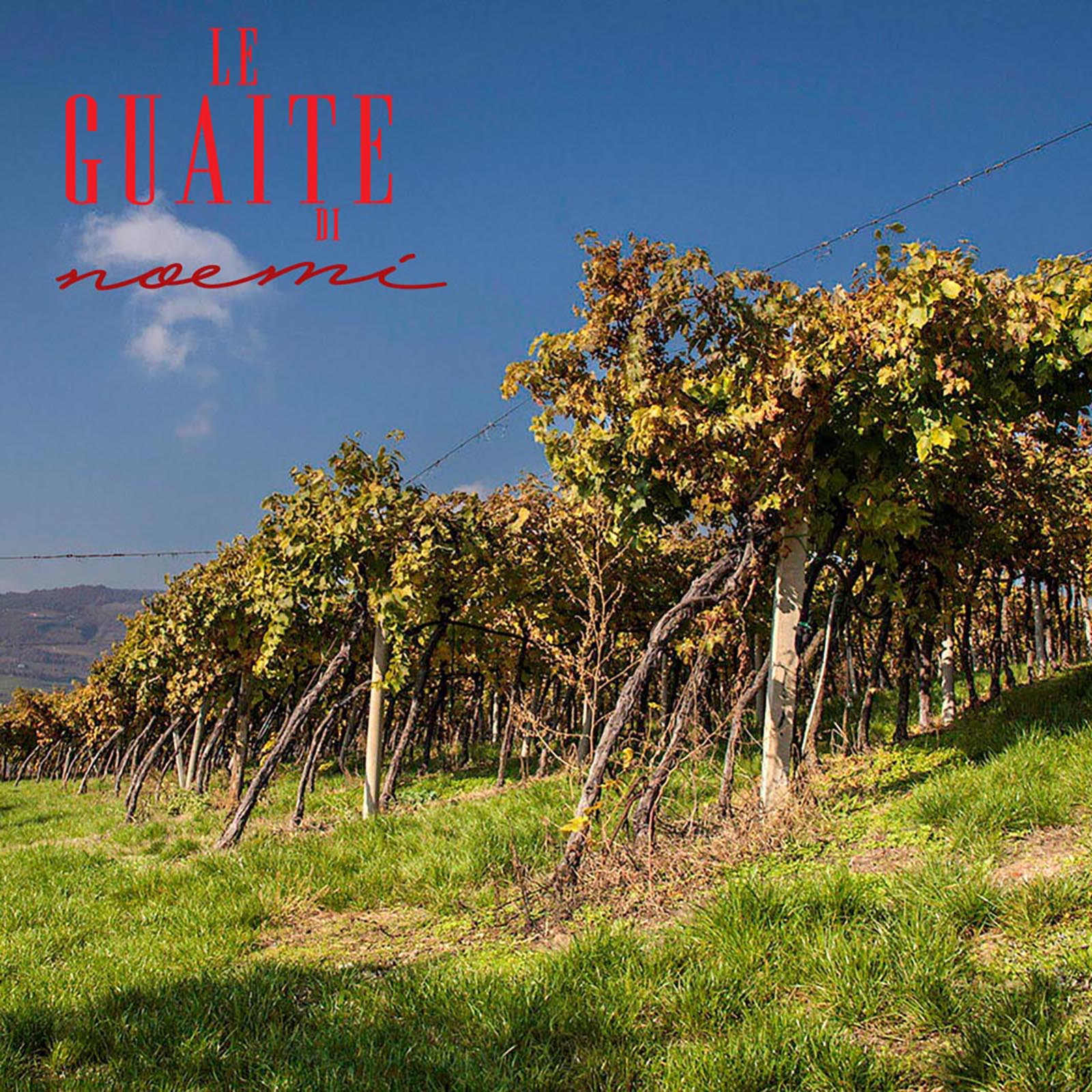 Amarone 2012