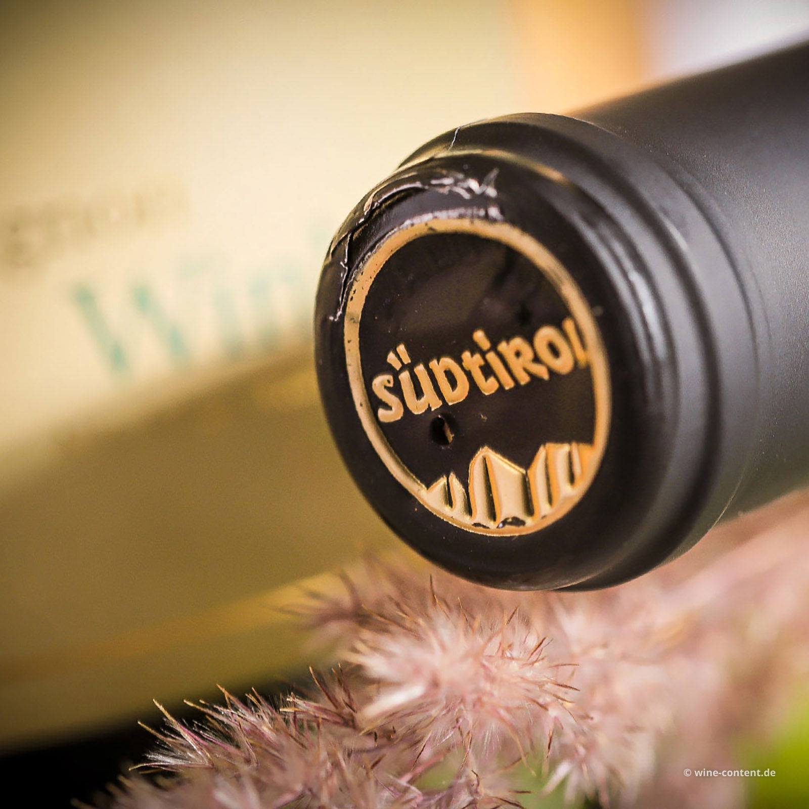 Sauvignon Blanc 2025 Winkl