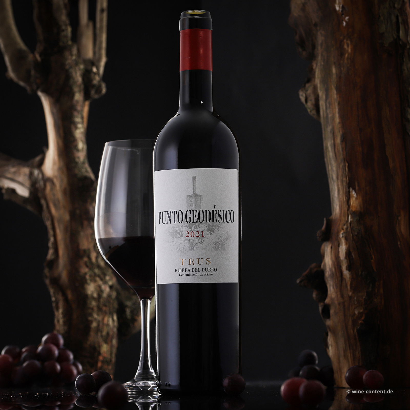 Tempranillo 2021 Punto Geodésico