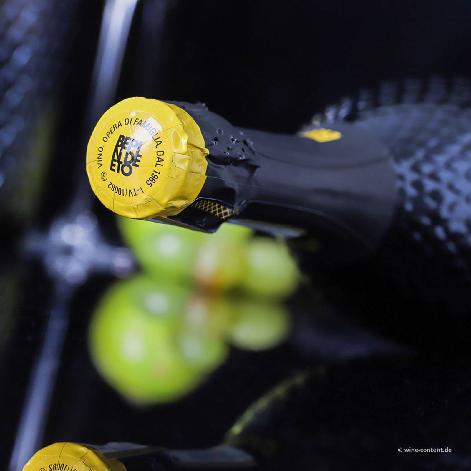 Prosecco Superiore 2024 Extra Dry