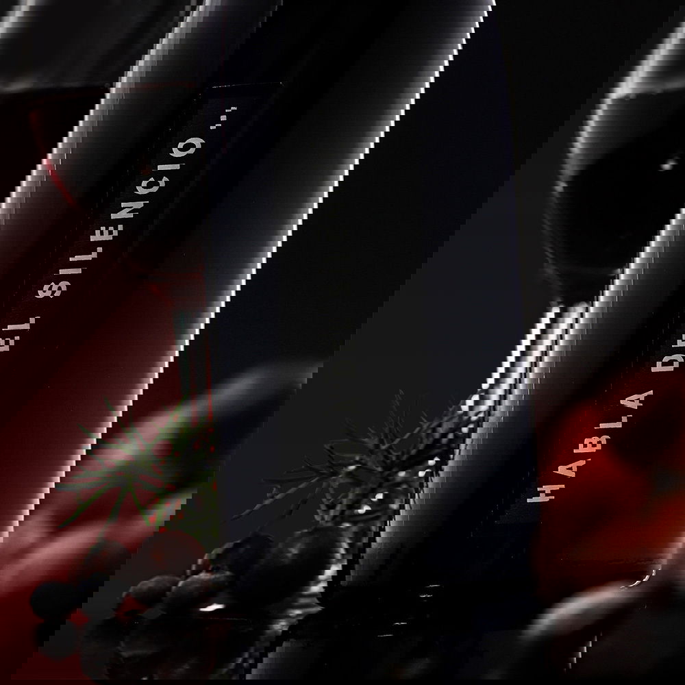 Habla del Silencio 2022