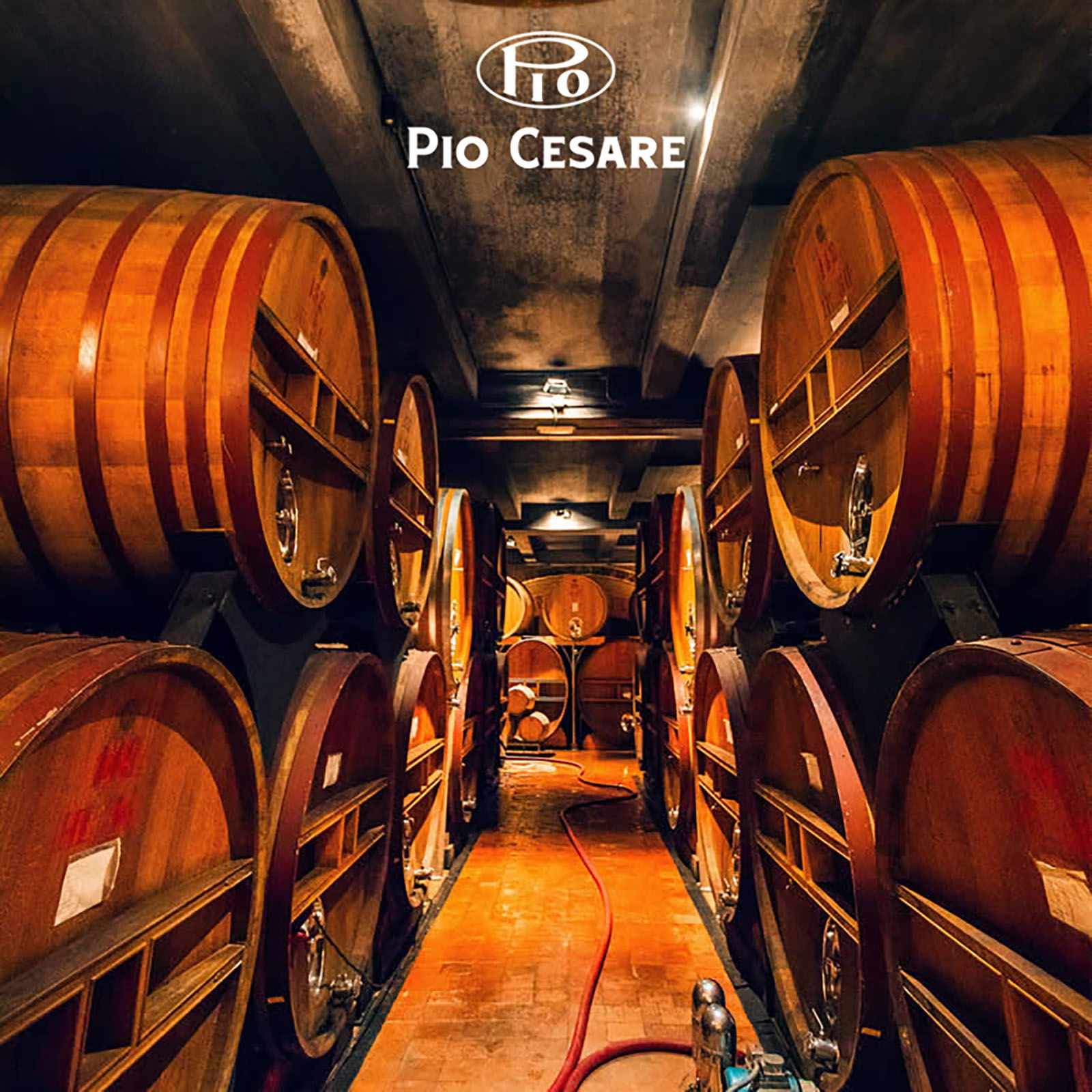 3er-Holzkiste Barolo 2021 Mosconi