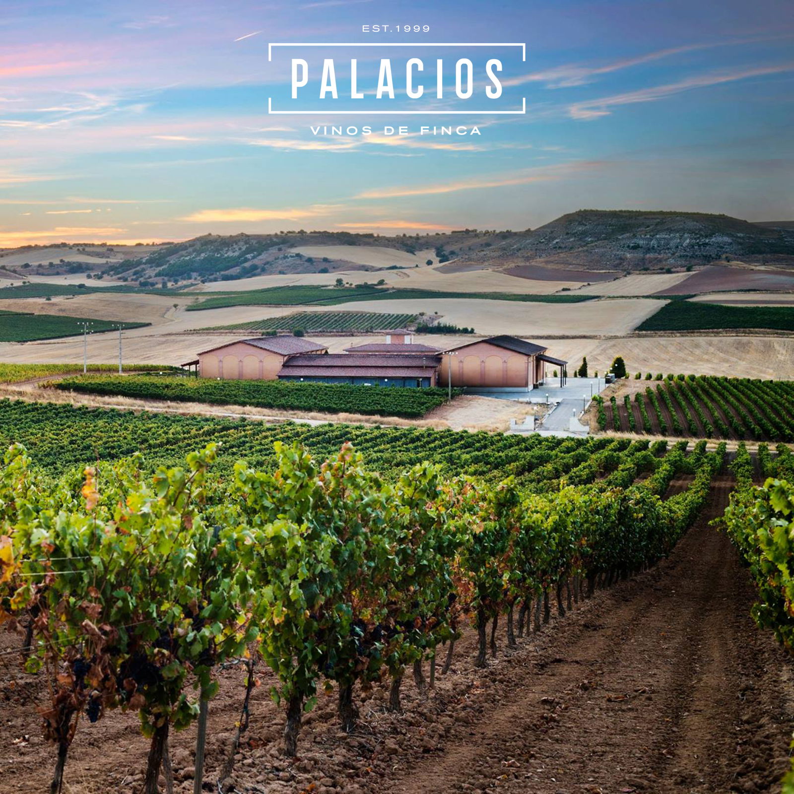 Tempranillo 2021 Punto Geodésico