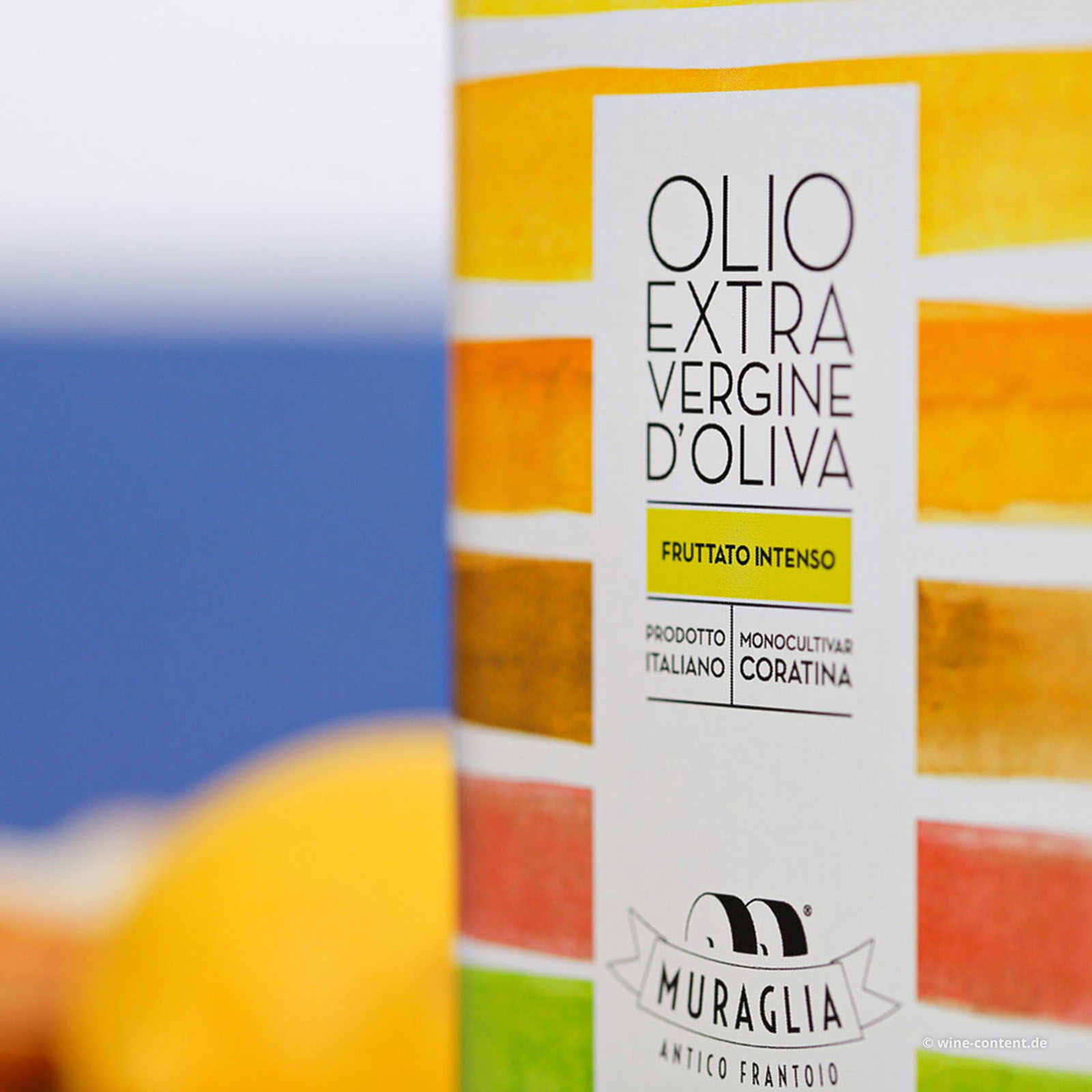 Vorbestellung: 1 L Olivenöl Extra Vergine 2025 Fruttato Intenso Kanister