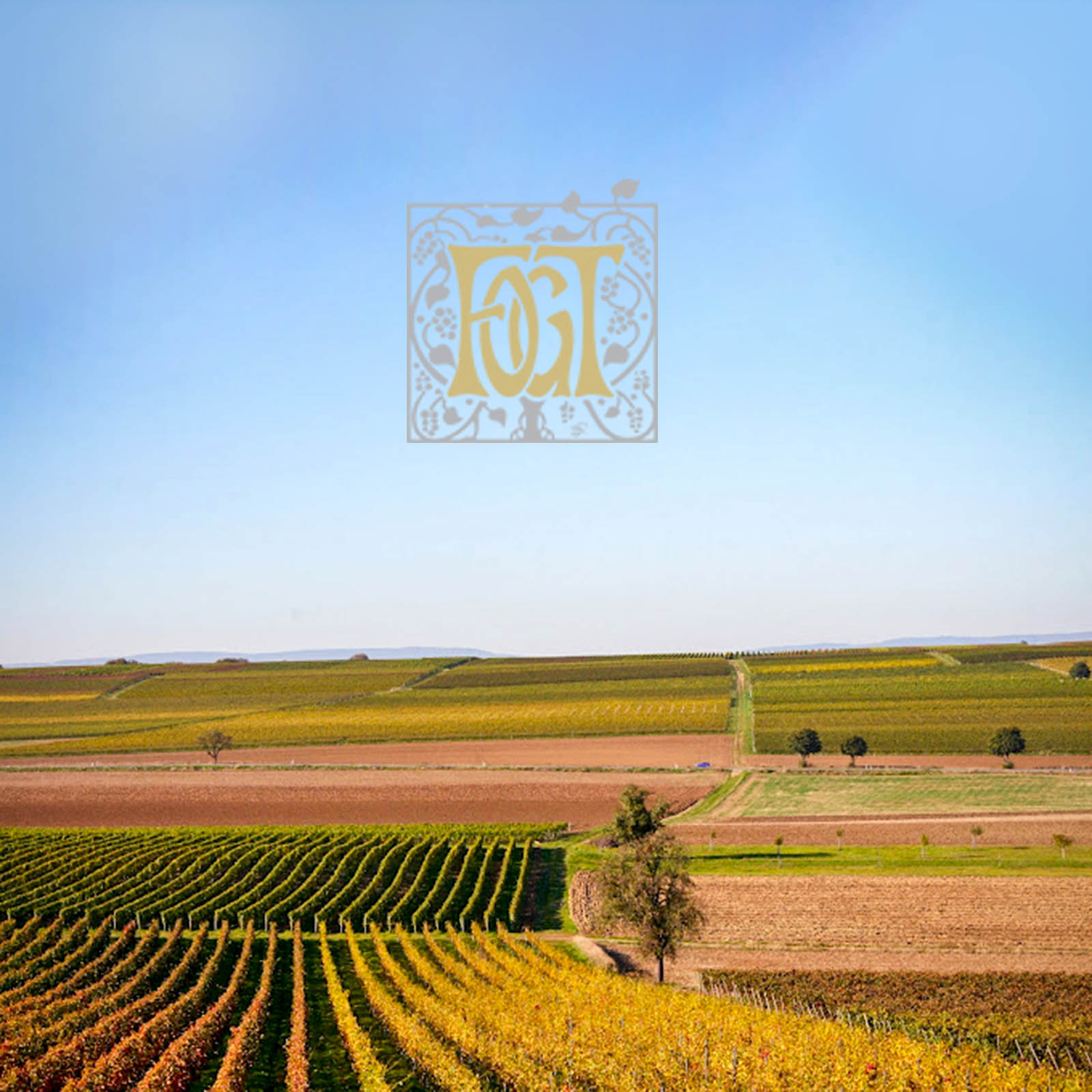 Spätburgunder Blanc de Noir 2024