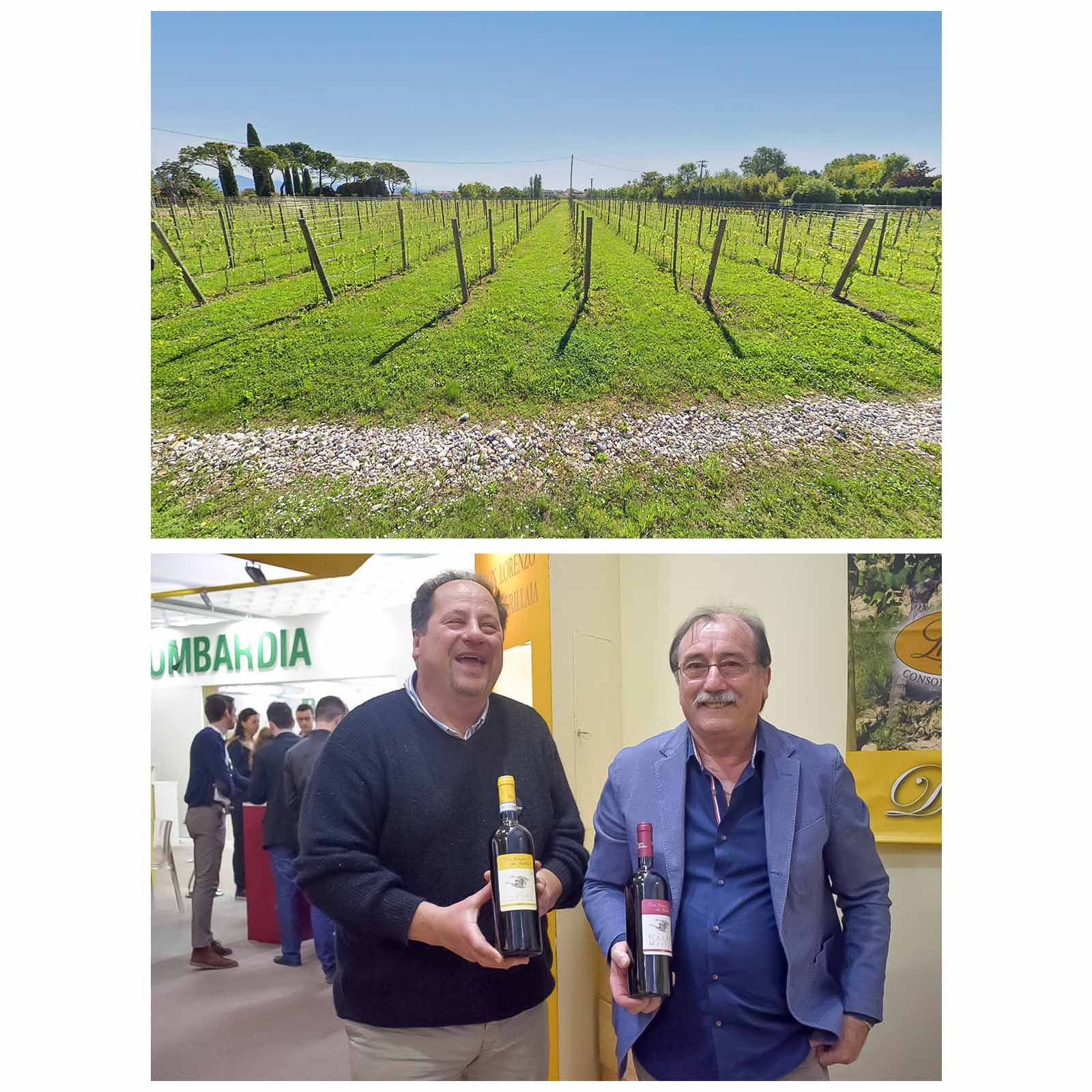 Lugana 2024 Don Lorenzo