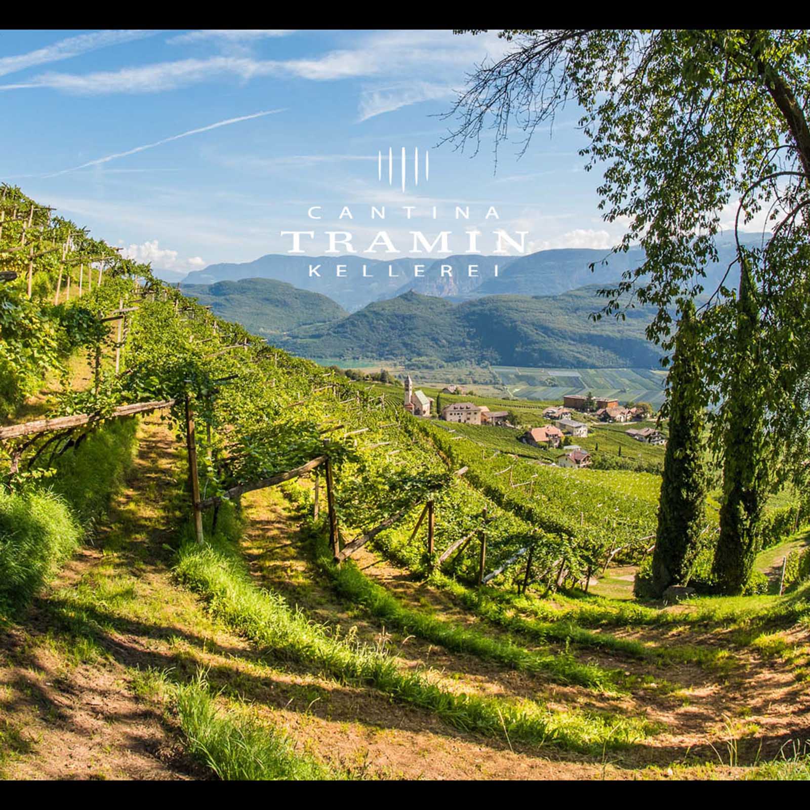 6er-Holzkiste Chardonnay Riserva 2021 Troy