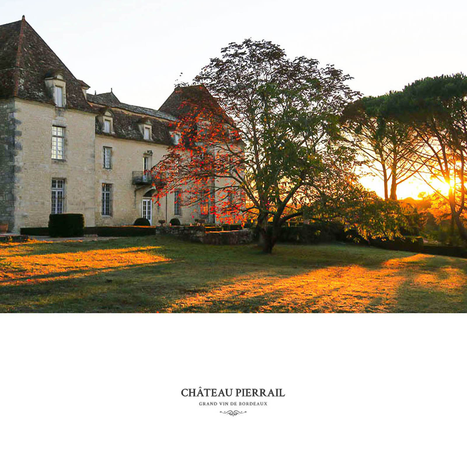 Bordeaux Supérieur 2020