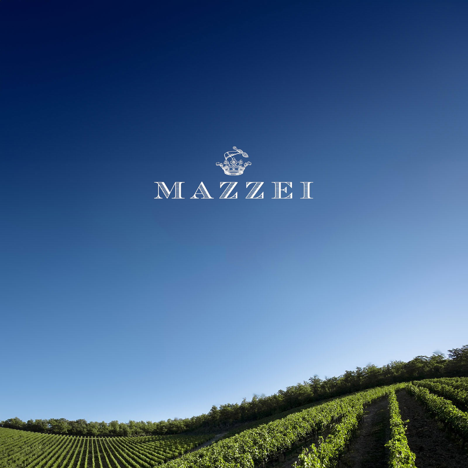 Chianti Classico 2021