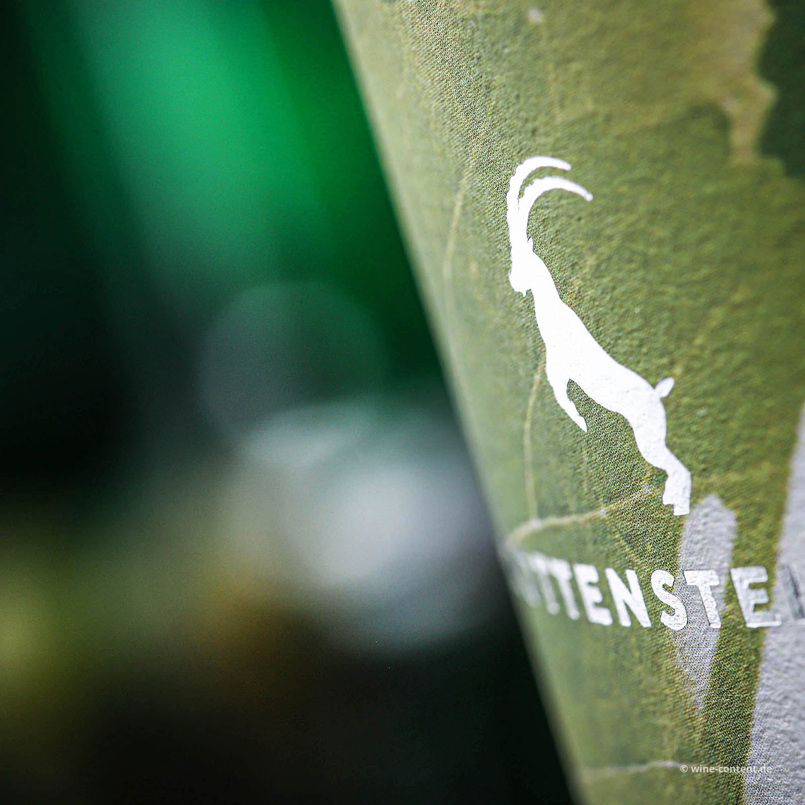 Weissburgunder  Pinot Bianco 2024 Carnol