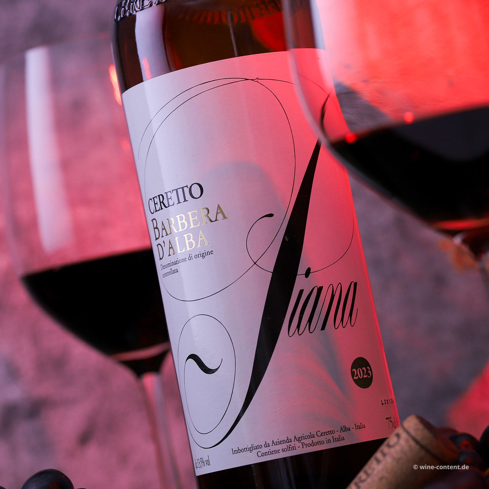 Barbera d'Alba 2023 Piana Bio