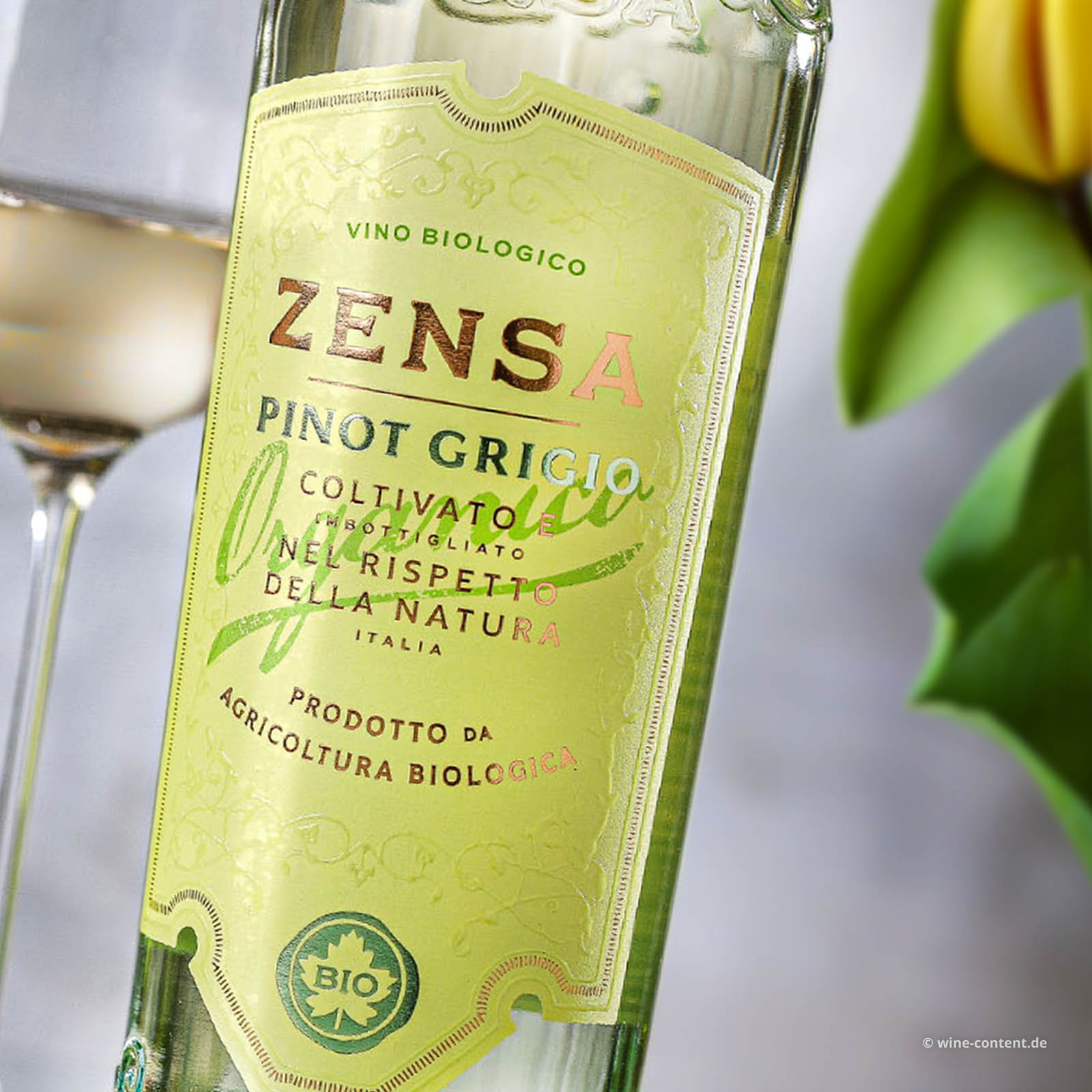 Pinot Grigio Puglia 2024 Bio