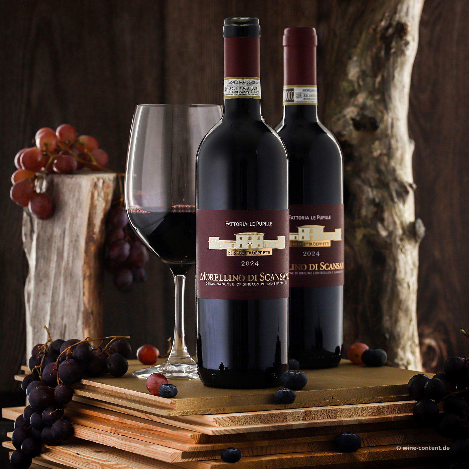 Morellino di Scansano 2024