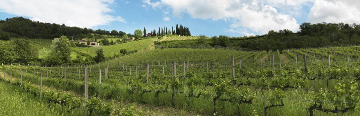 Querciabella