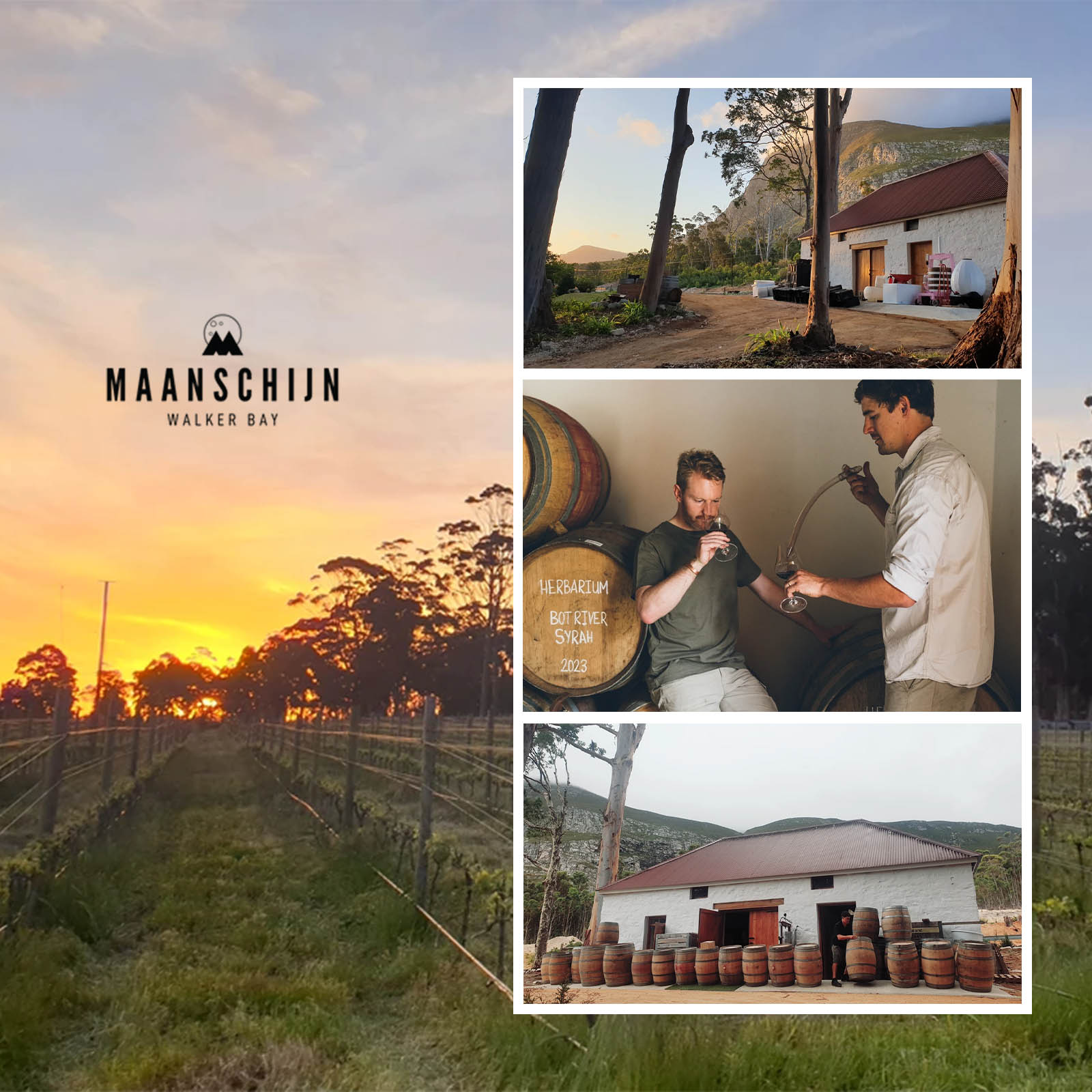 Cape White 2022 Herbarium