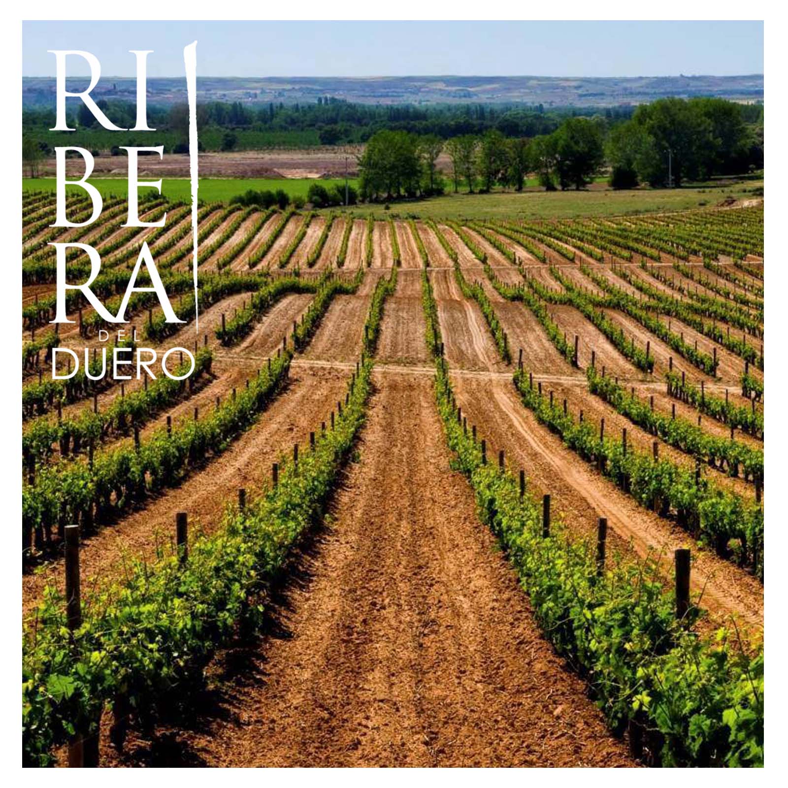 3er-Holzkiste Malleolus de Valderramiro 2021