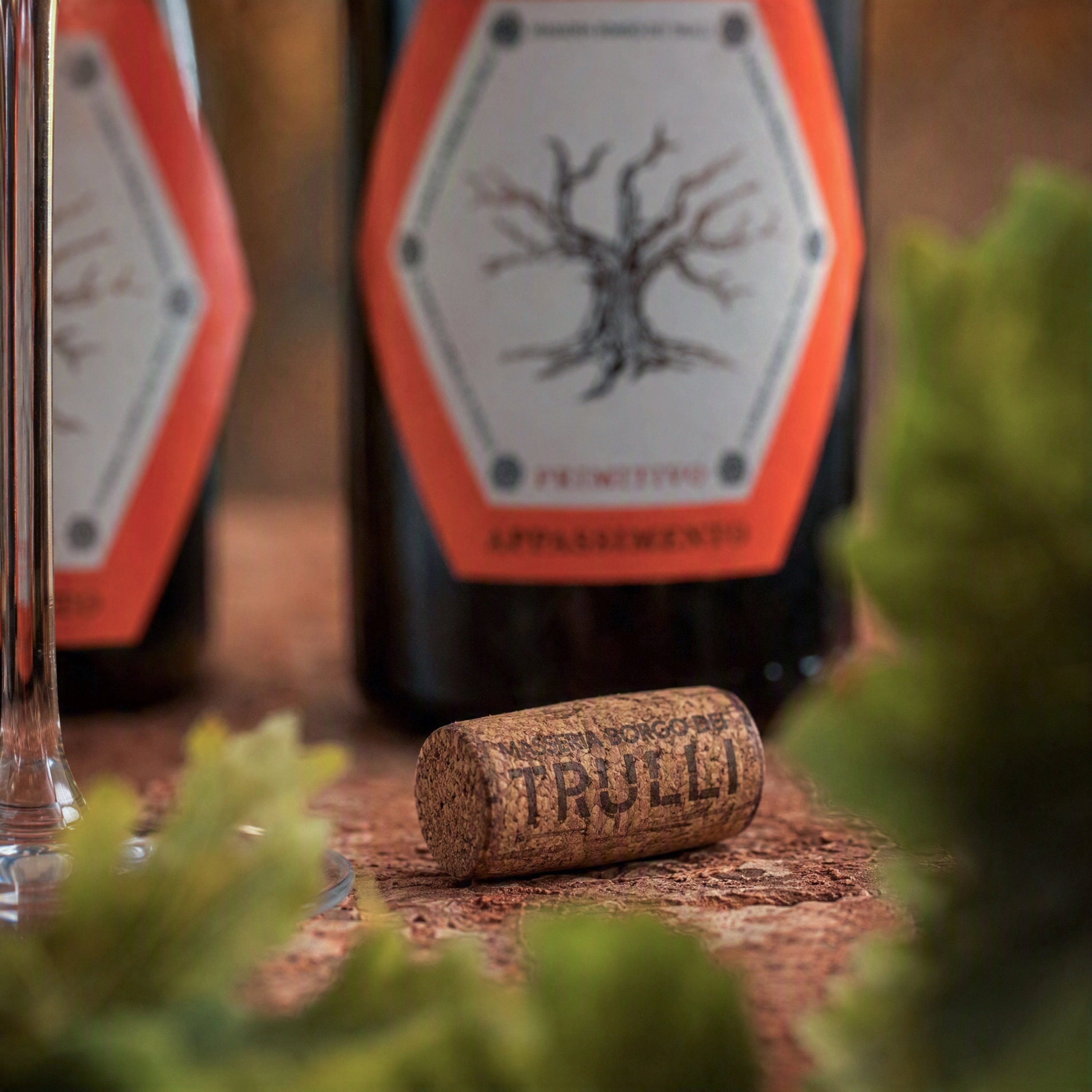 Primitivo Appassimento 2025 Lucale