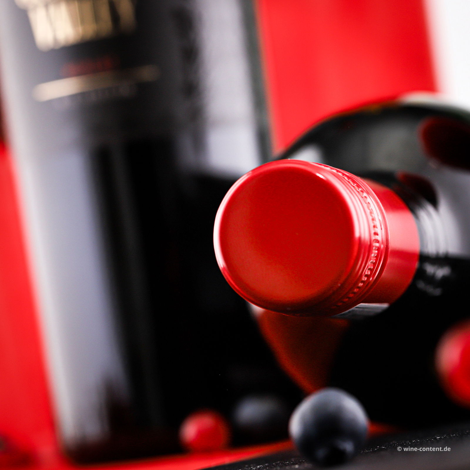 Merlot 2022 The Guarded Valley