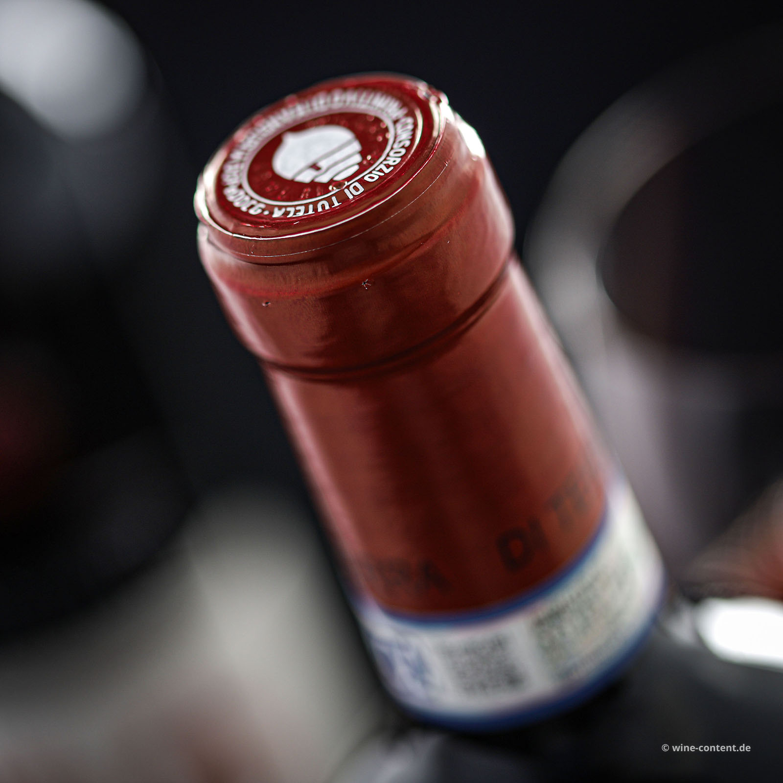 Primitivo di Manduria 2024 di Terra 14,0
