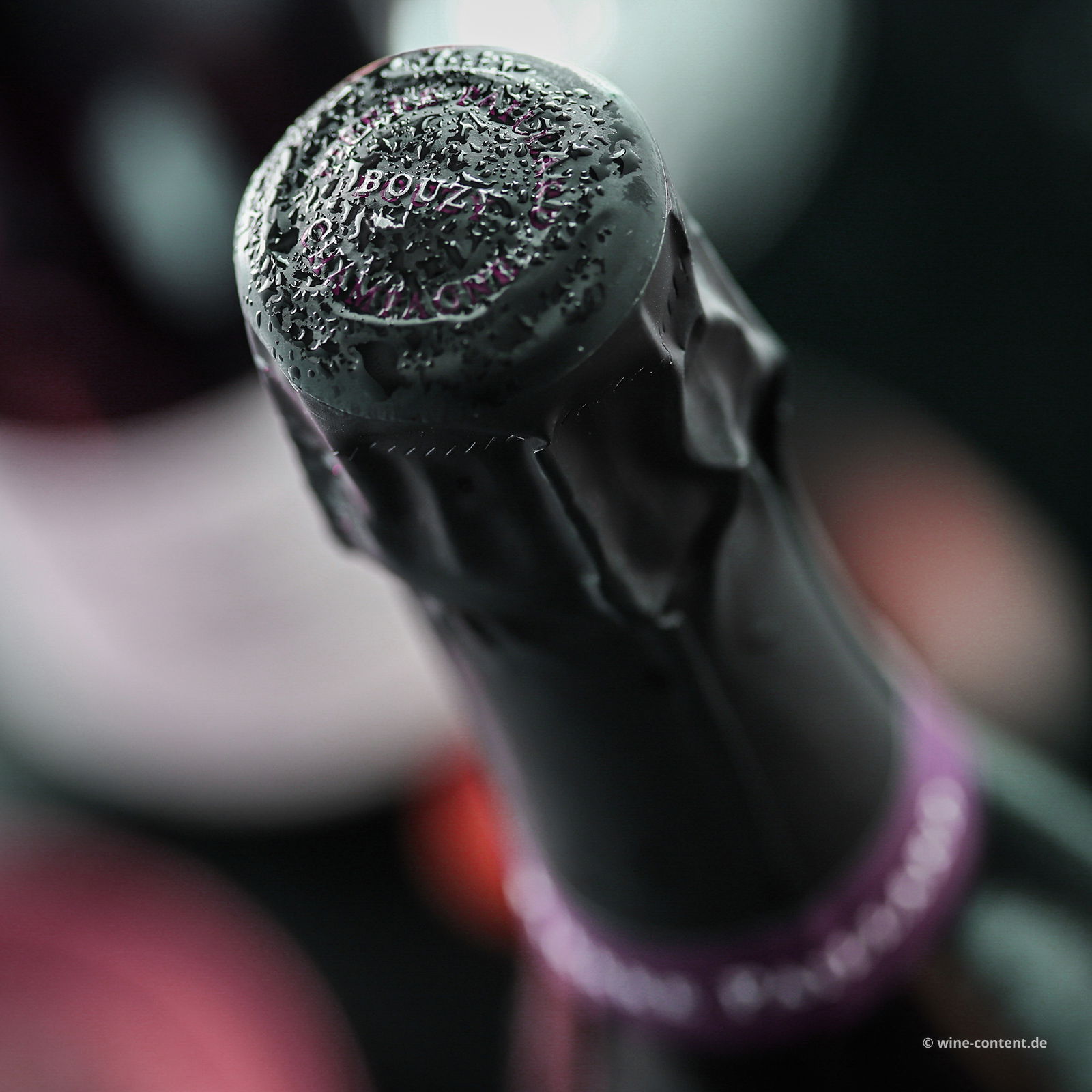 Champagner Rosé Bouzy Grand Cru Les Terres Roses Extra Brut