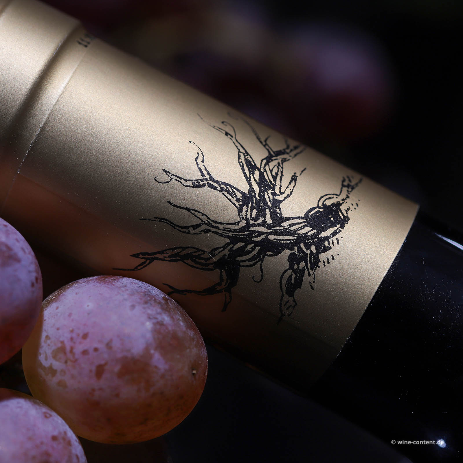Zinfandel 2020 Gold Rush