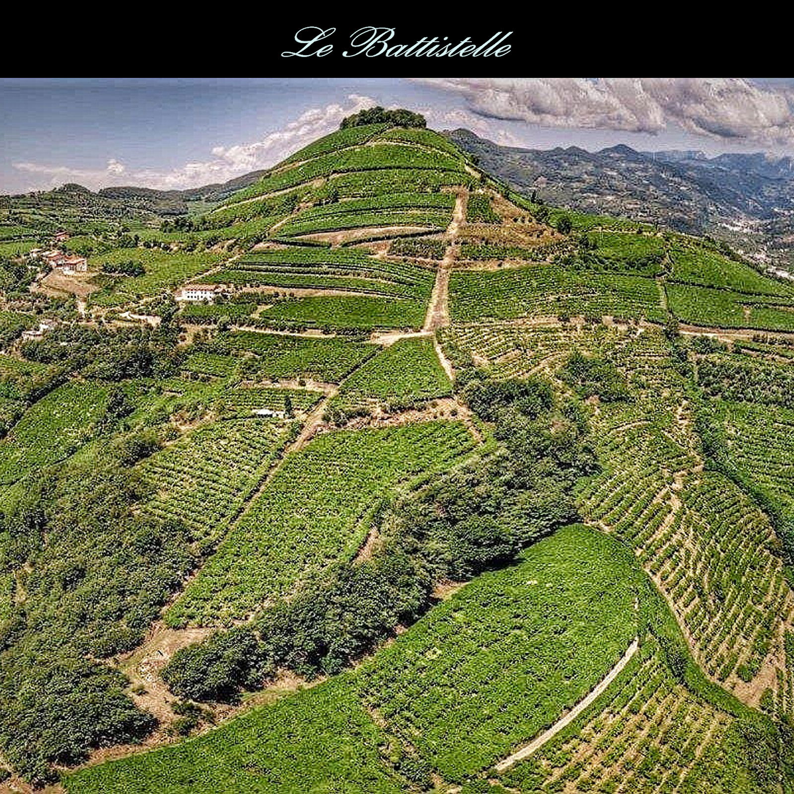 Soave Classico 2023 Roccolo del Durlo