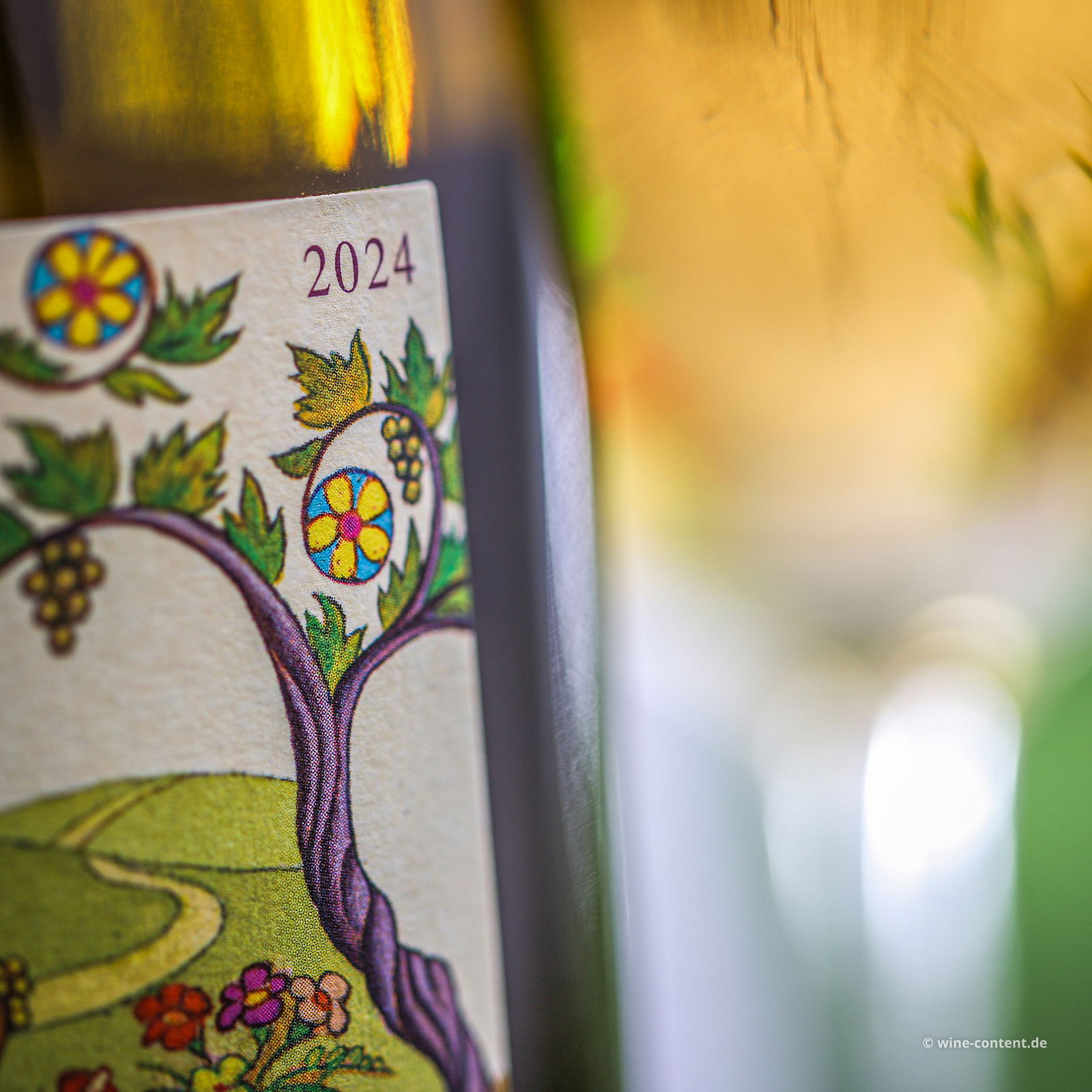 Grillo Sicilia 2024 Passiperduti