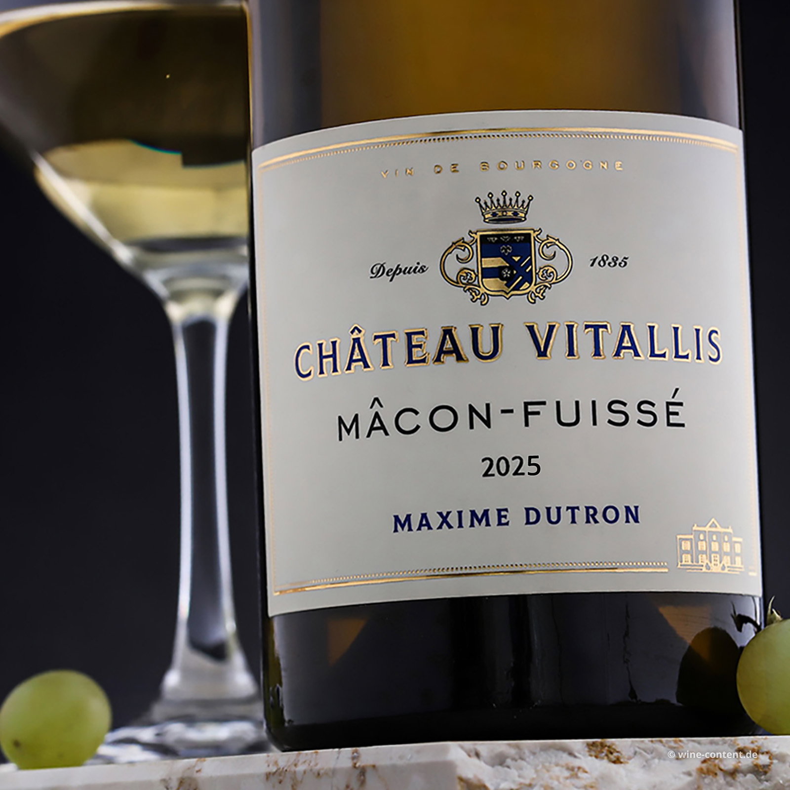 Mâcon-Fuissé 2025