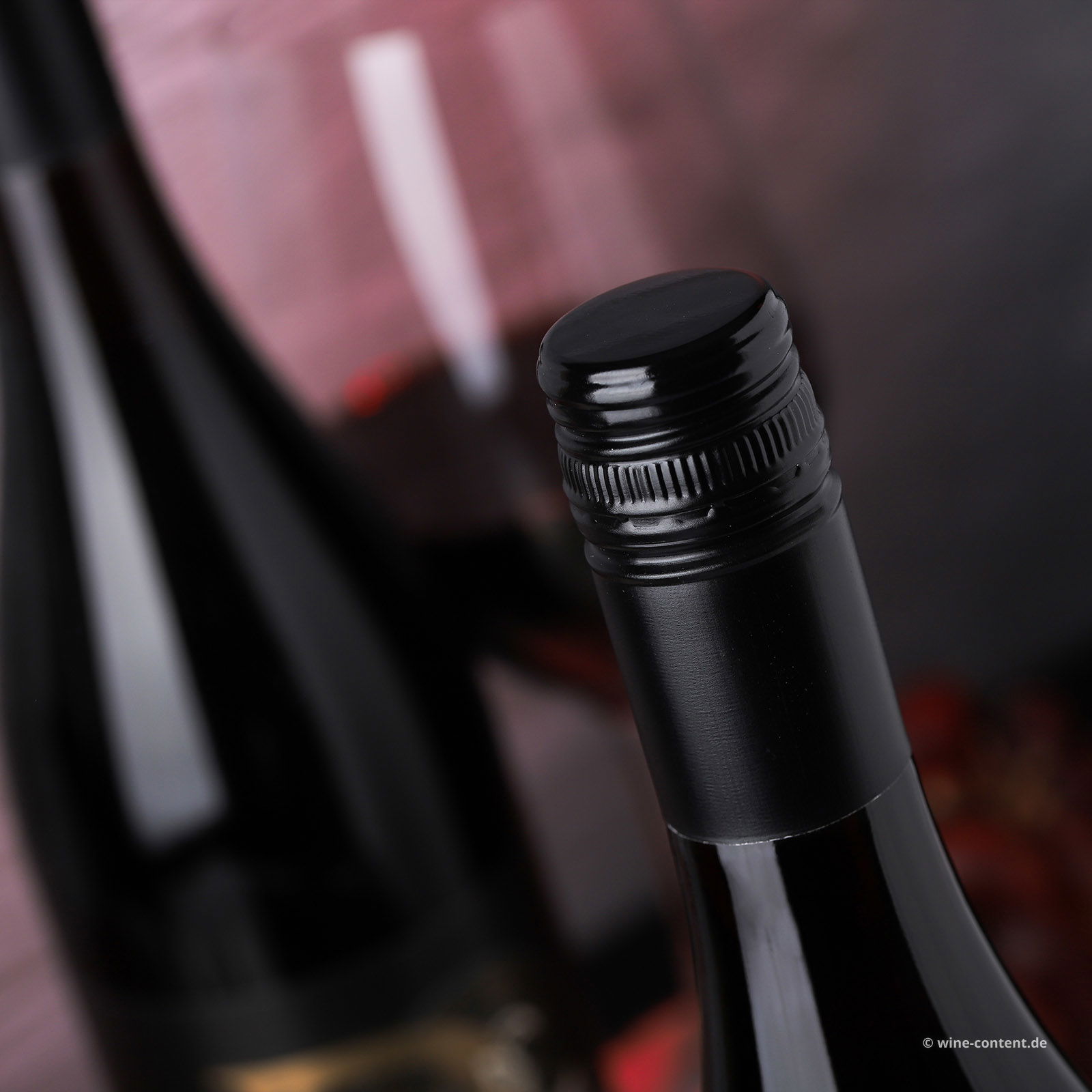 Double-Pass Shiraz 2021 AppassAussi Two