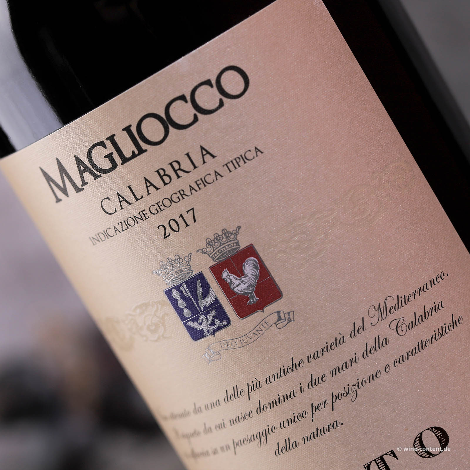 Magliocco Calabria 2017
