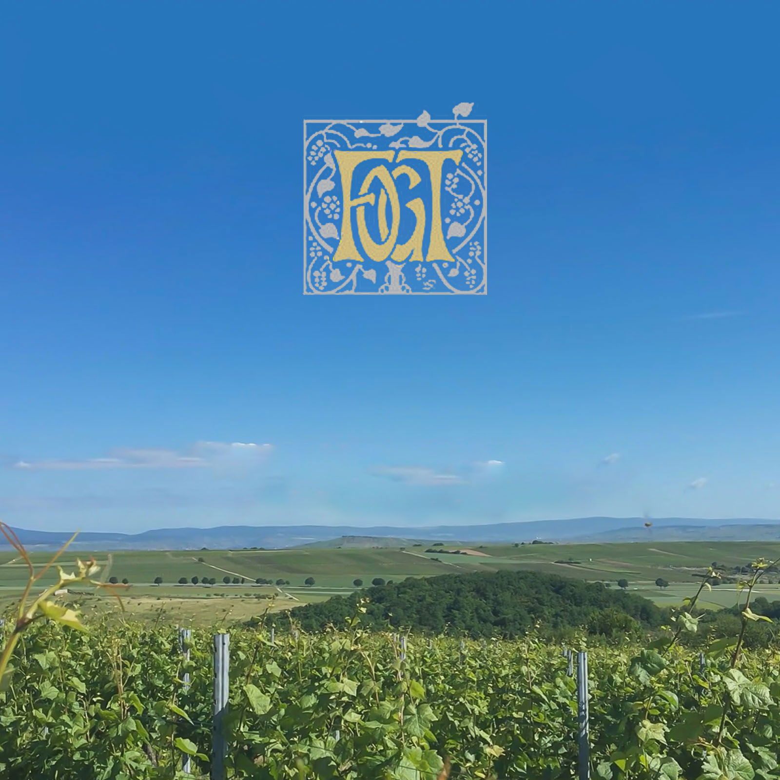 Spätburgunder Blanc de Noir 2024