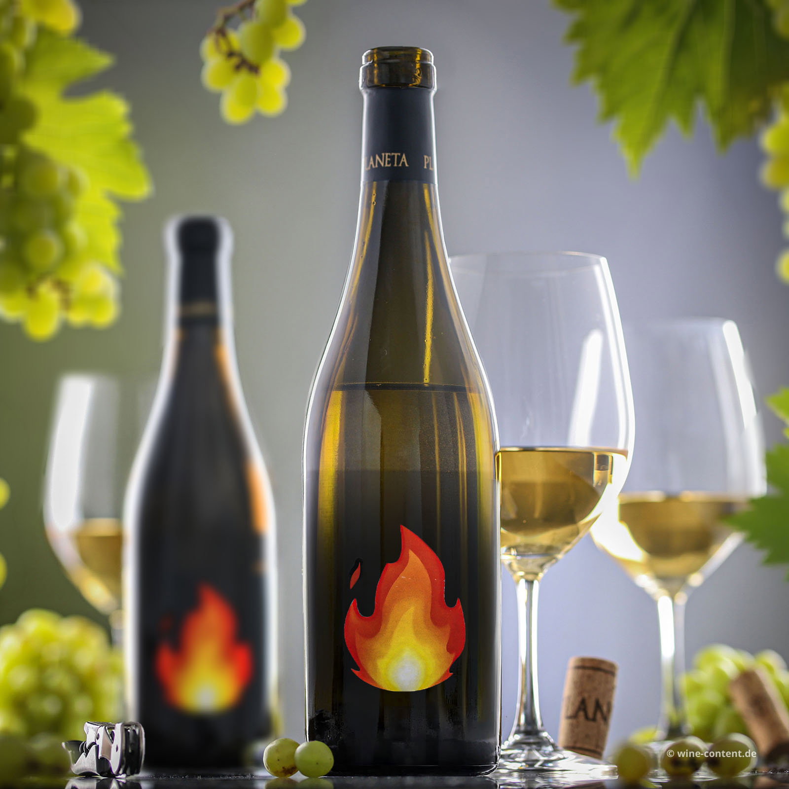 Chardonnay Sicilia Menfi 2024 Fire Bio