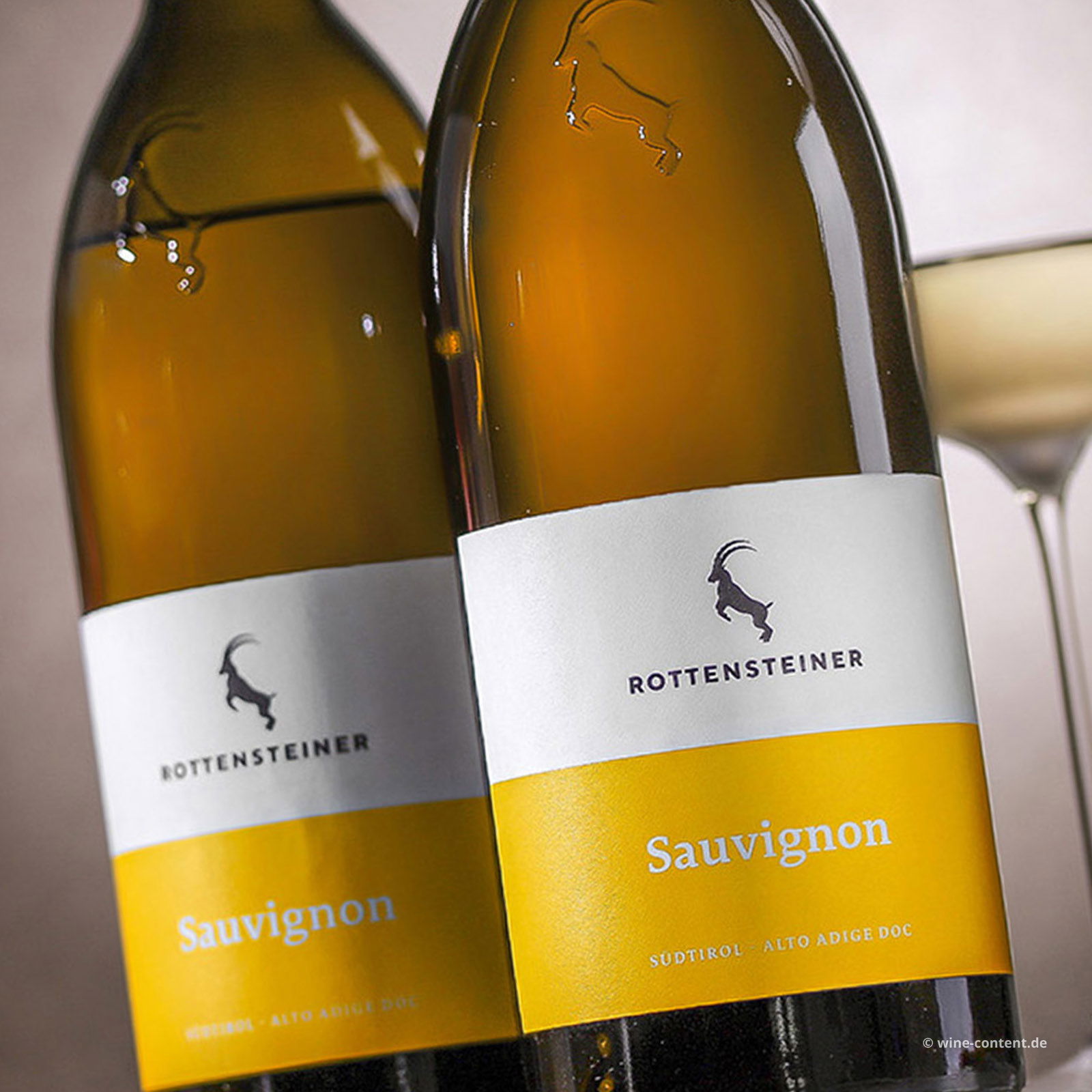 Sauvignon Blanc 2024