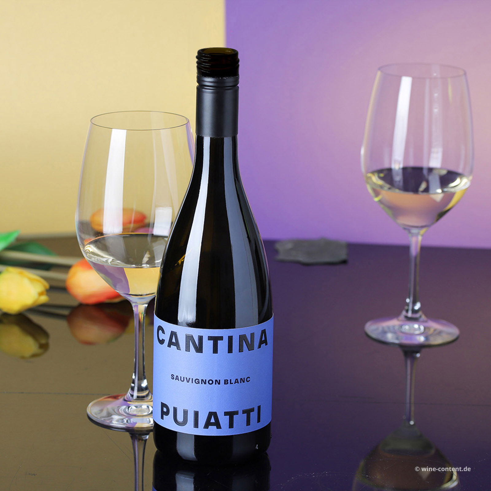 Sauvignon Blanc 2024