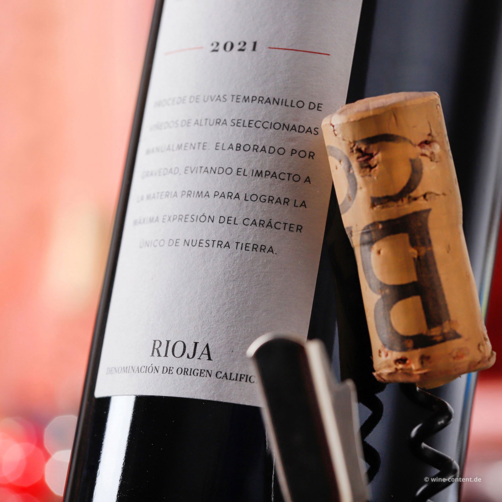 Rioja Crianza 2021 Mendi